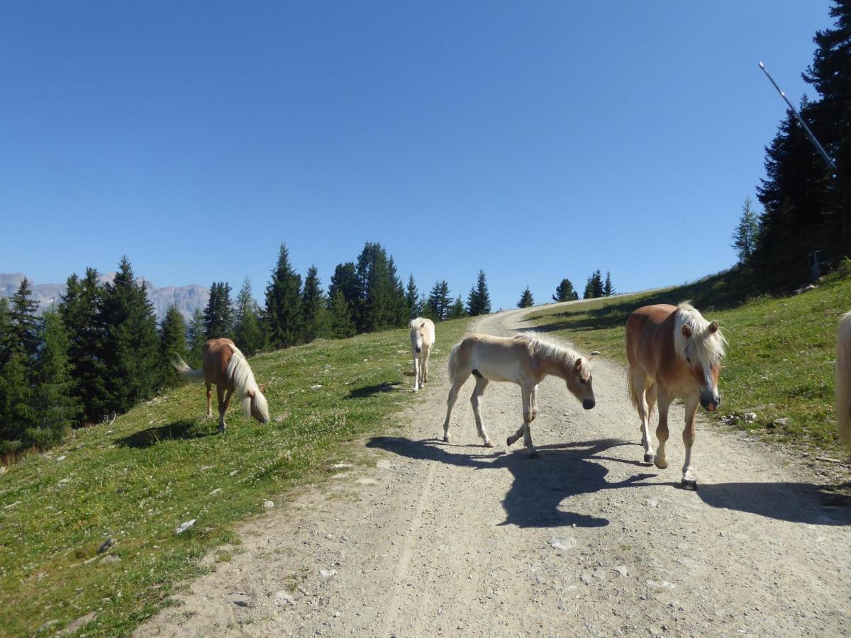 Bergflair Daire See Dış mekan fotoğraf